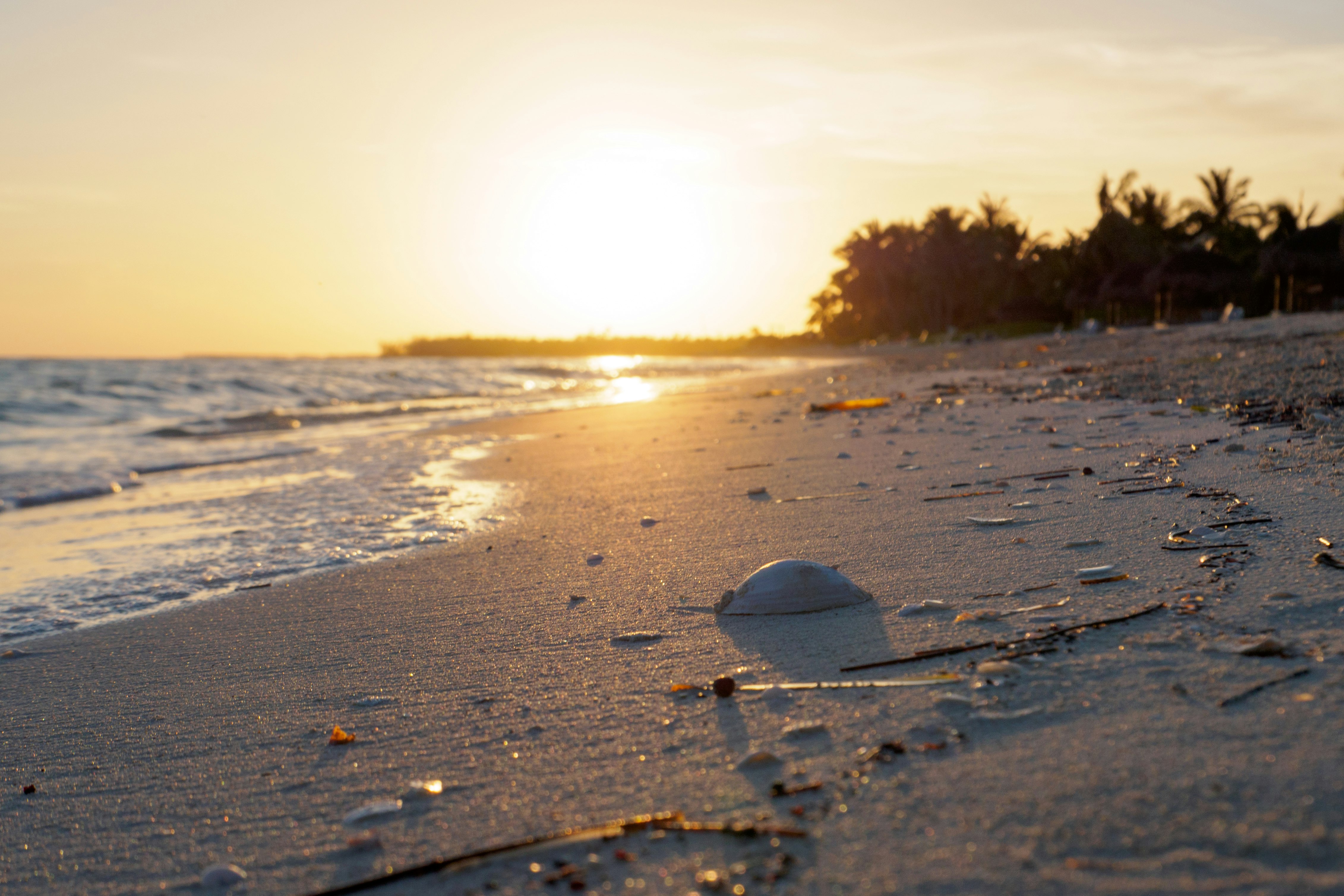 sunset at the beach