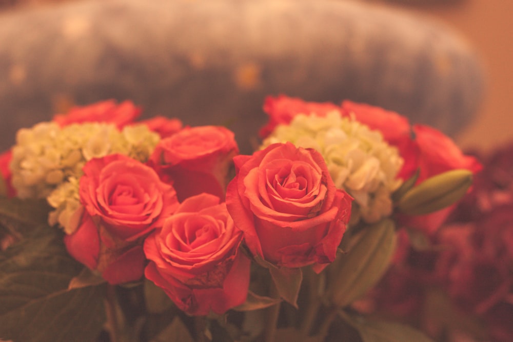 Fotografia a fuoco selettiva del bouquet di fiori di rosa rosa e bianco