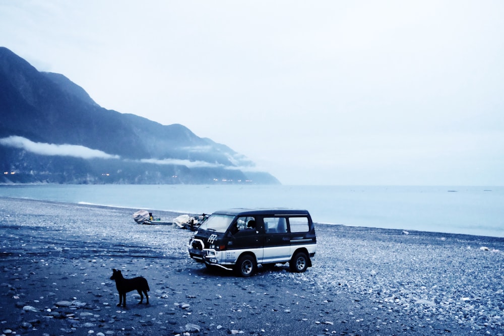 black van on shore