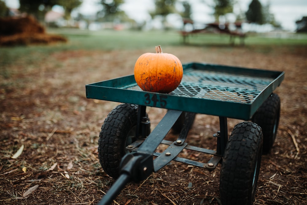 orange pumpkin on green metal trailer