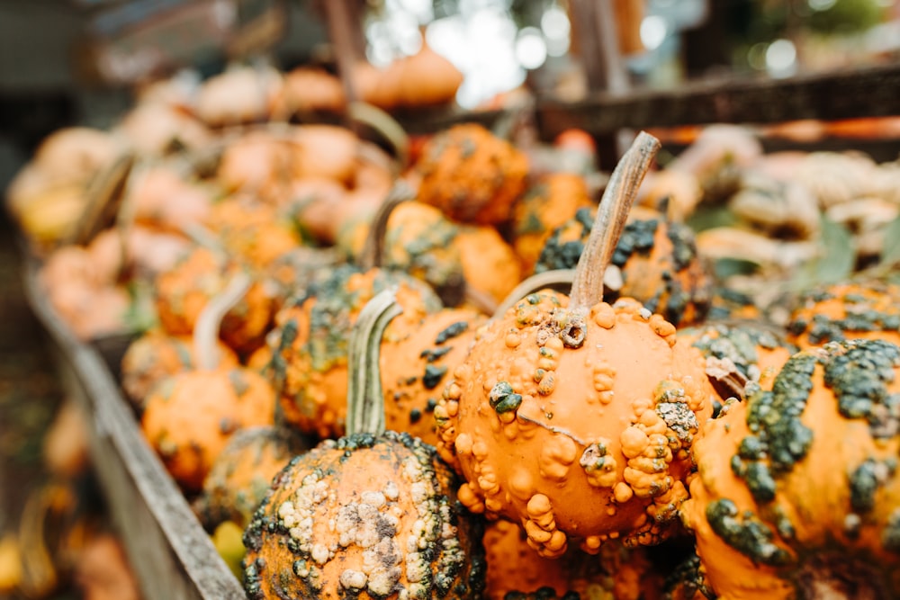 shallow focus photography of vegetables