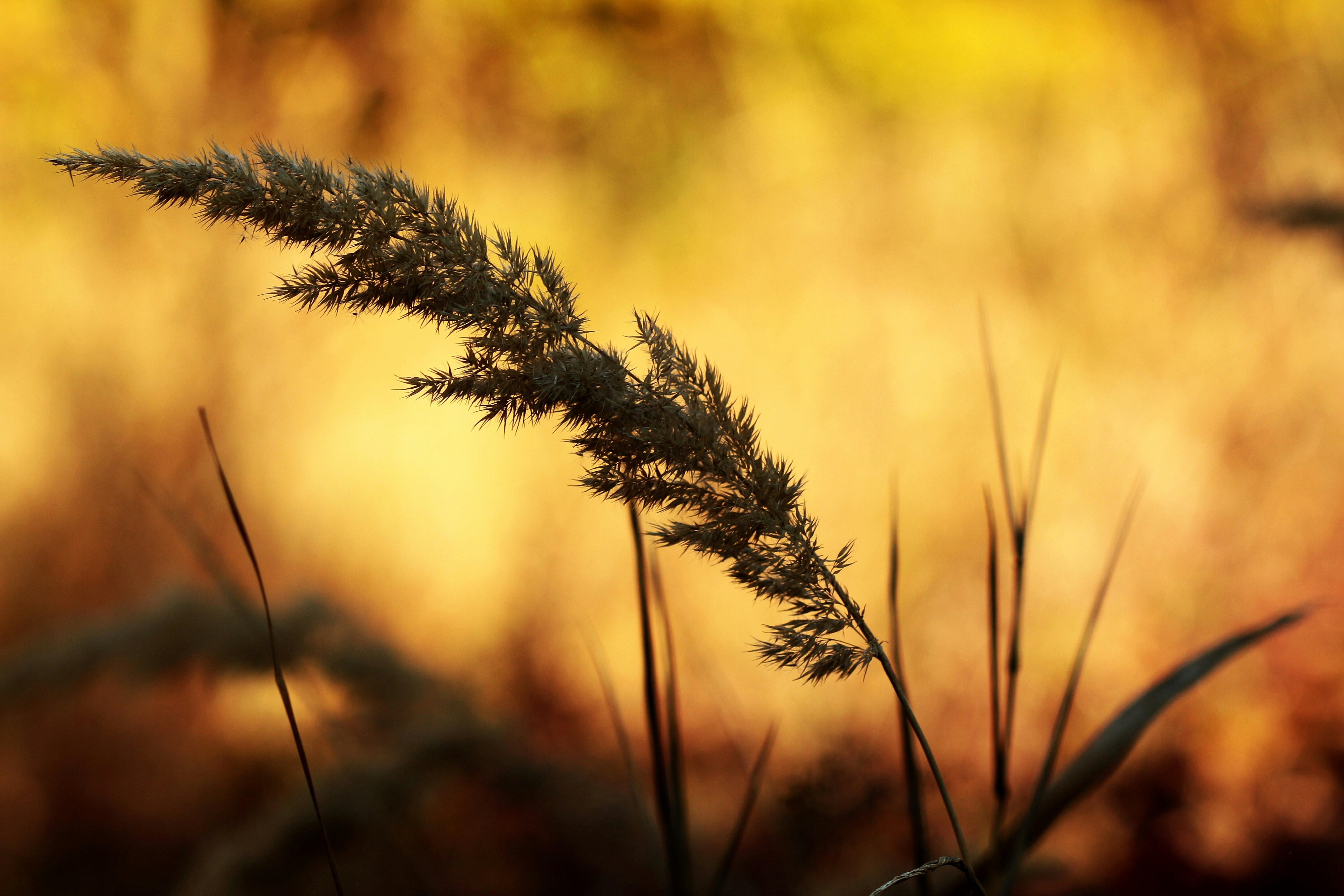 Photo by eli_from_prague