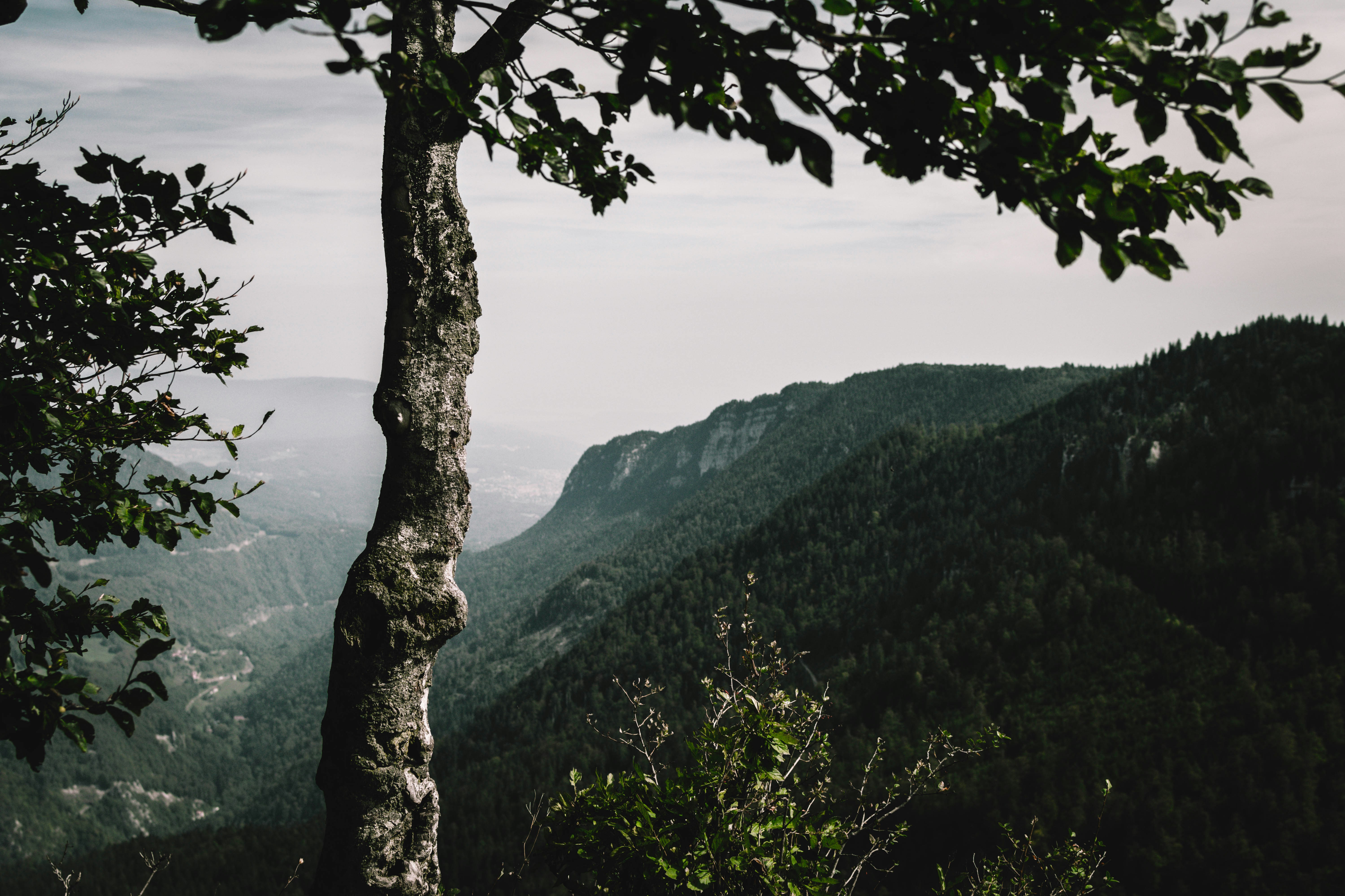 Photo by virussinside