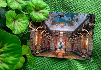 Elegant library interior with African and Lusophone cultural decor