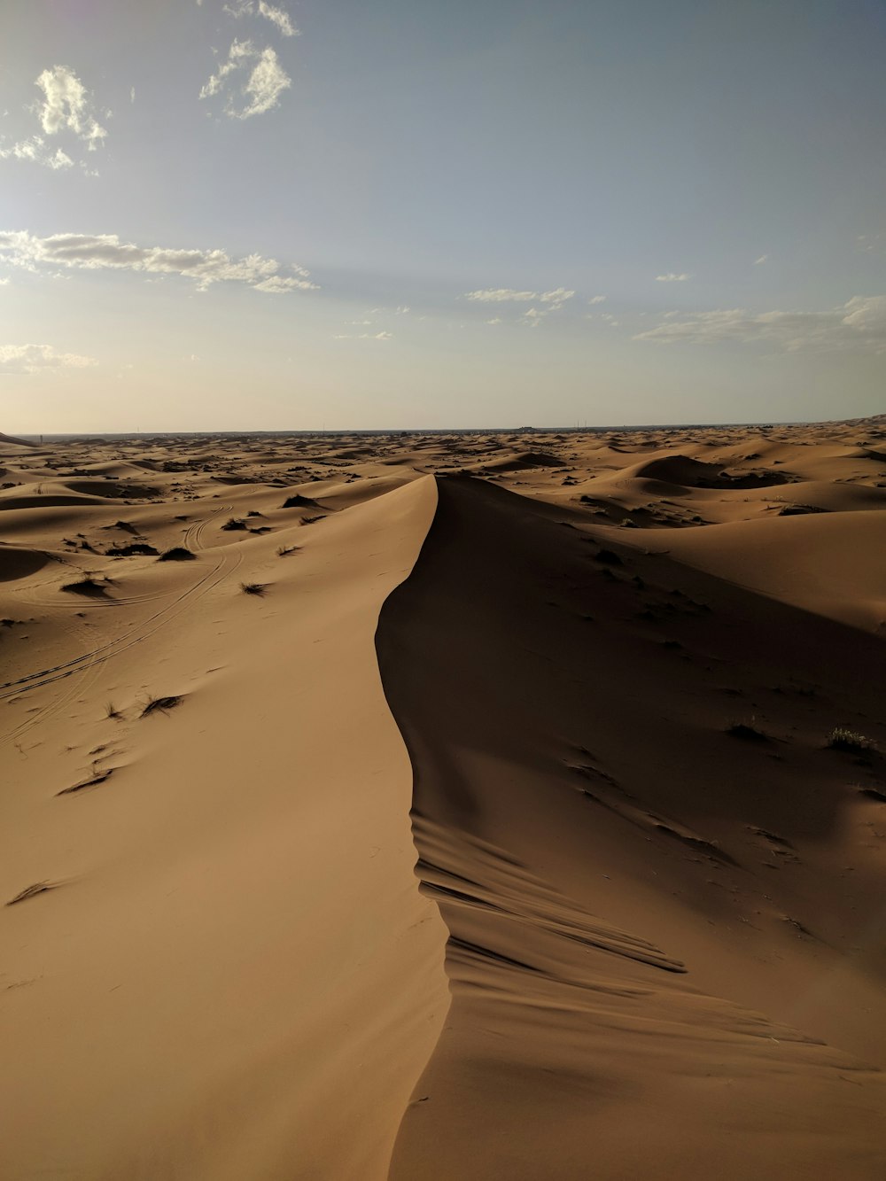 clear desert view during daytime