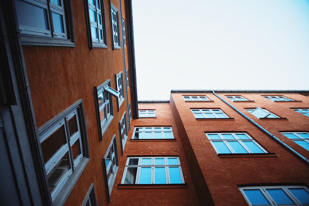 brown commercial building