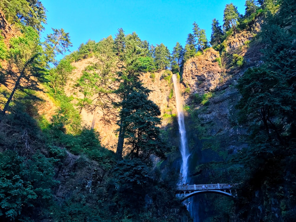 worm's eye view of waterfalls