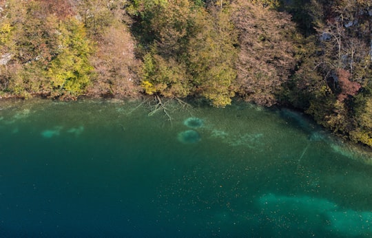 body of water in Plitvice Lakes National Park Croatia