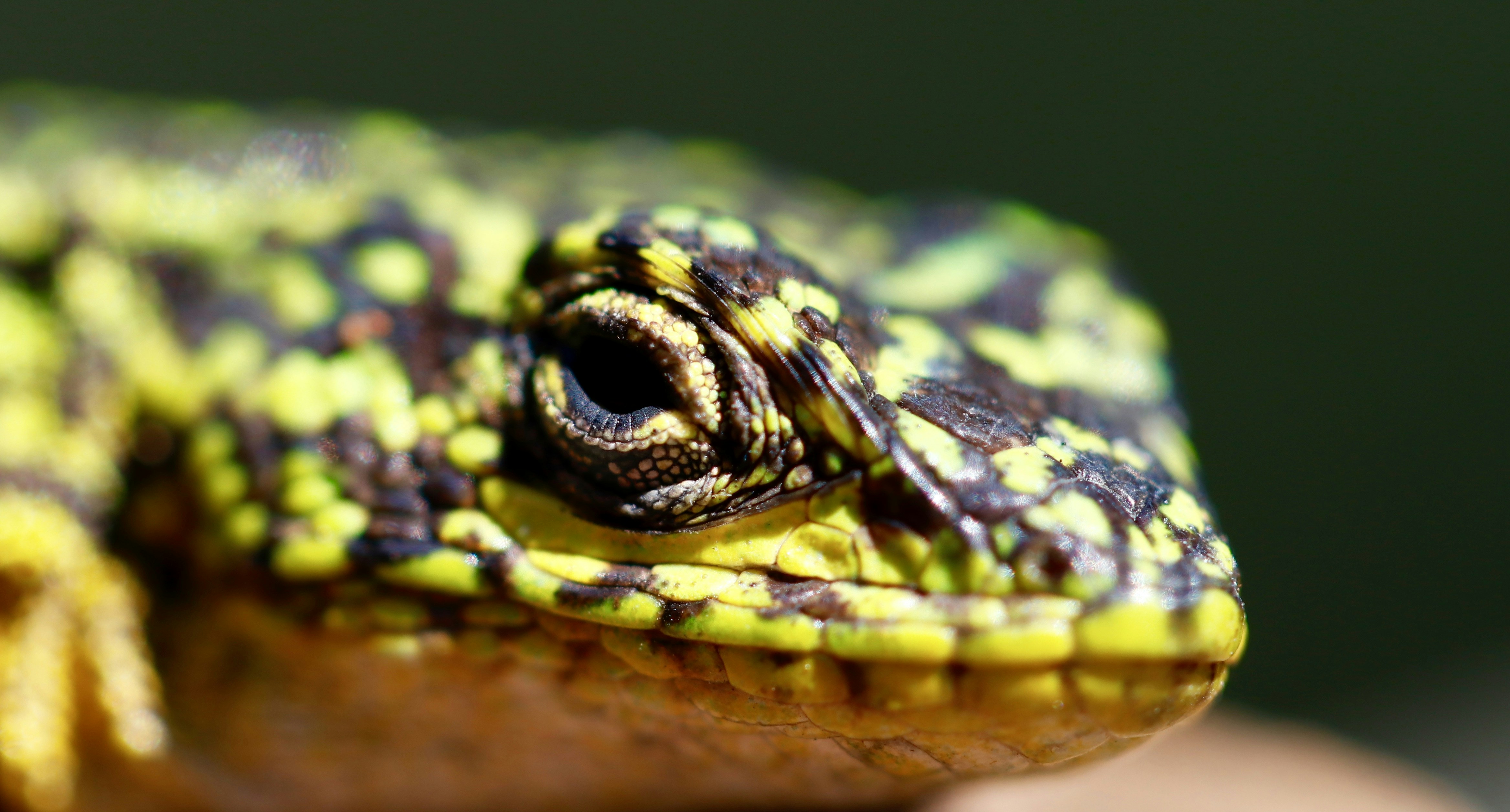 Photo by viajeenparacaidas