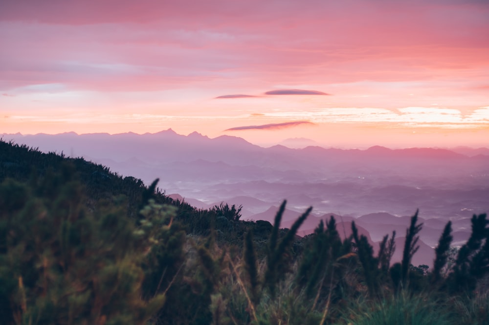 Luftaufnahmen der grünen Berge