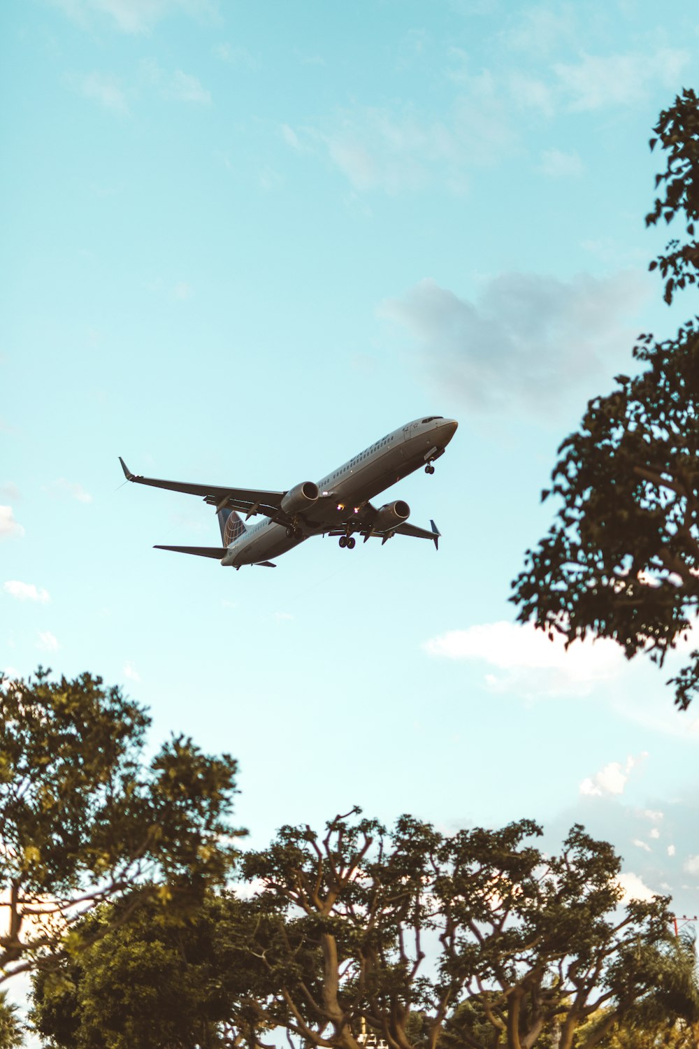 grey commercial plane flying over trees