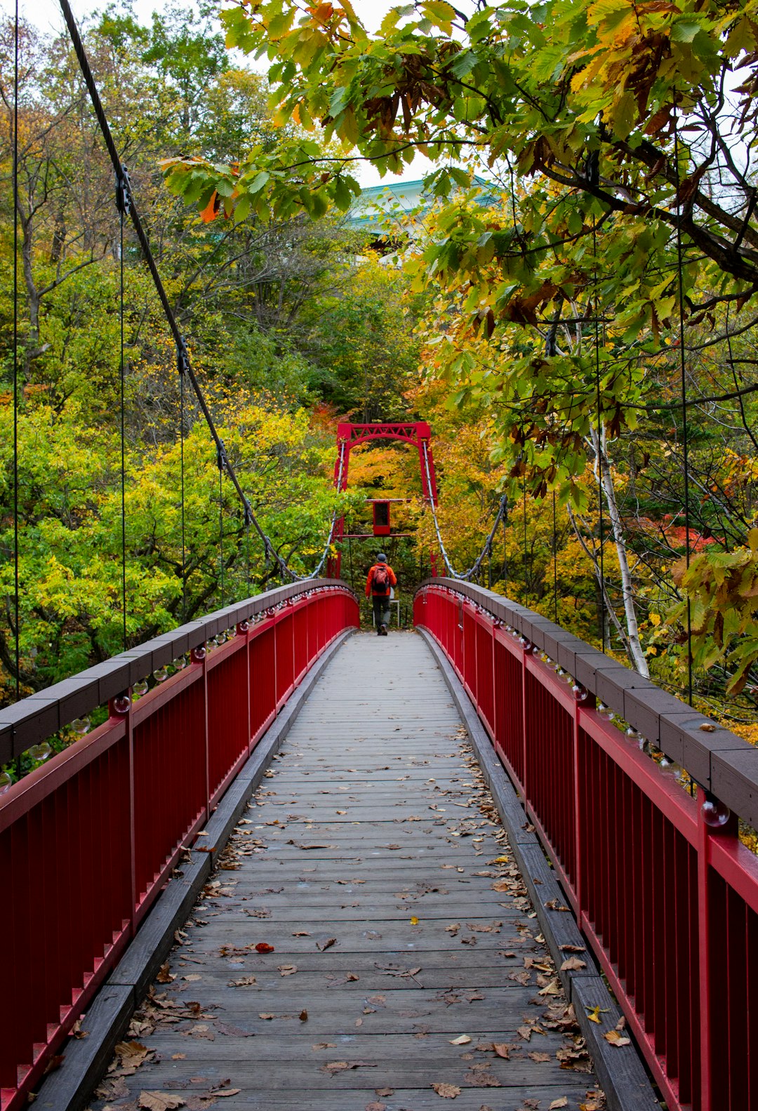 travelers stories about Suspension bridge in Jozankei, Japan