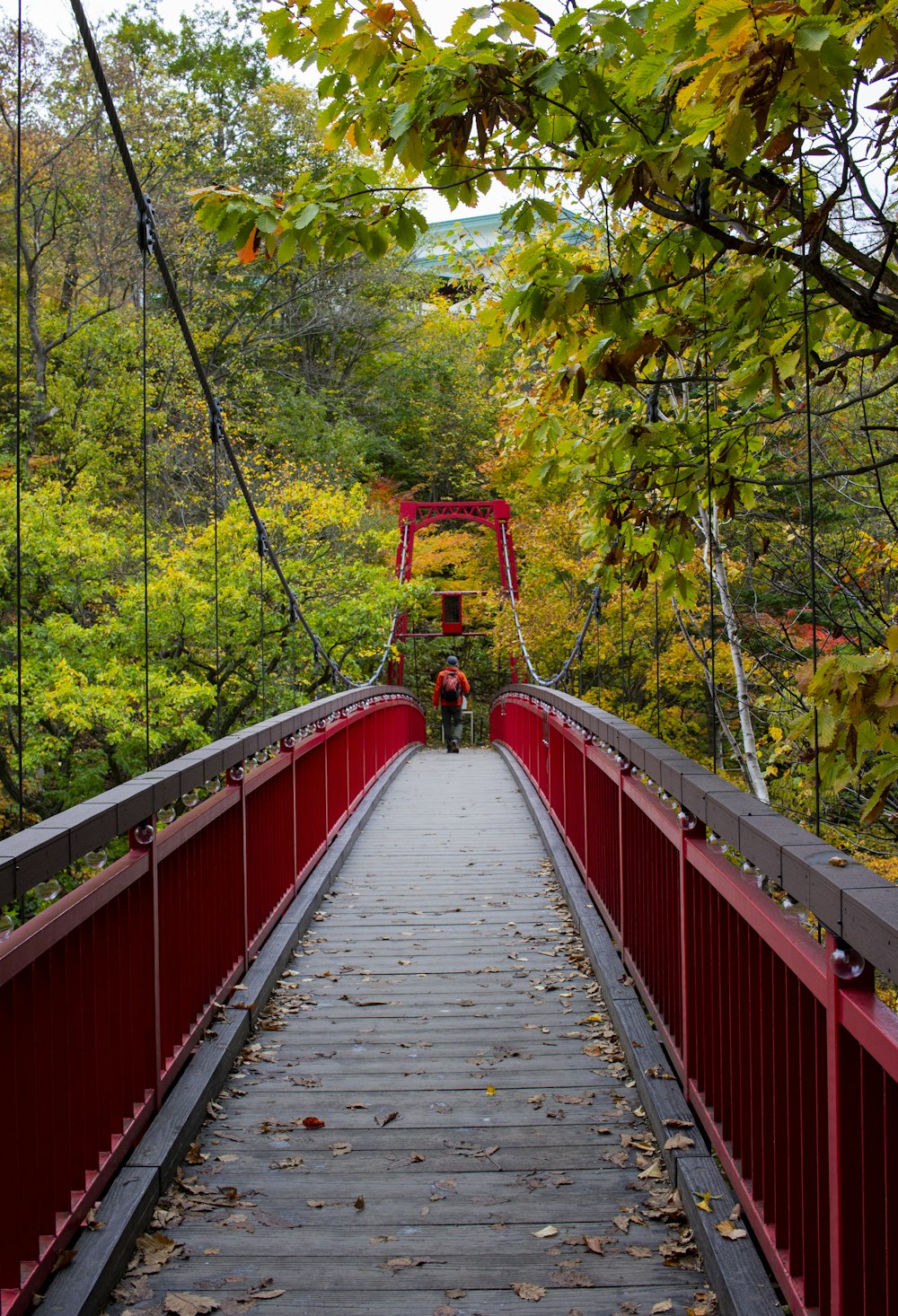 person walking on bridge