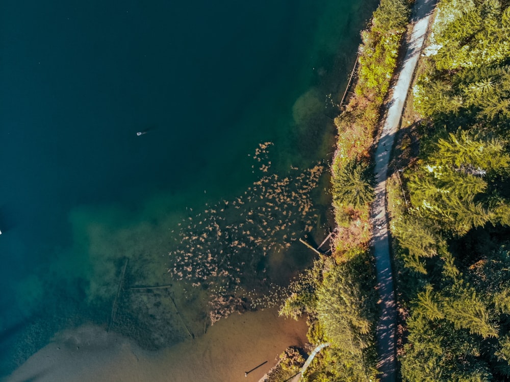 aerial photography of sea