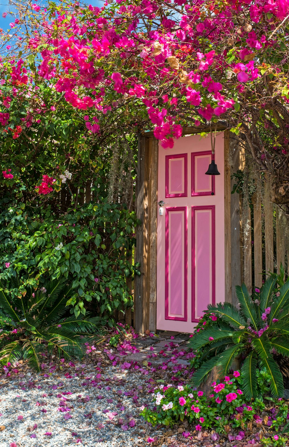 pink wooden door surround by flowers