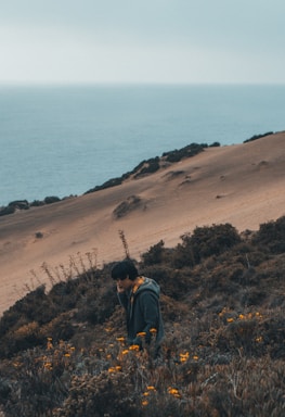 A person in a green jacket stands amidst dense shrubs and blooming yellow flowers on a slope overlooking a vast ocean. The landscape features a sandy hill with patches of vegetation, creating a serene coastal scene under overcast skies.
