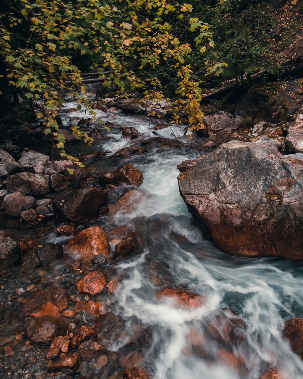 rocks on water stream