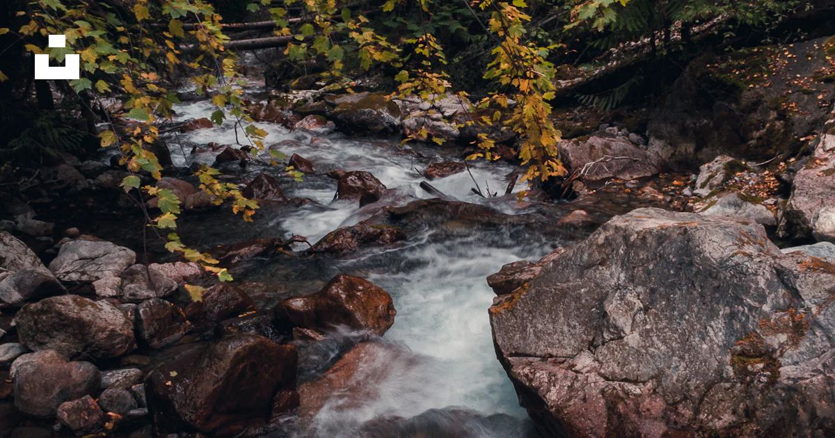 Hot Spring Stream With Rocks Rocks on water stream photo – Free Radium hot springs Image on Unsplash