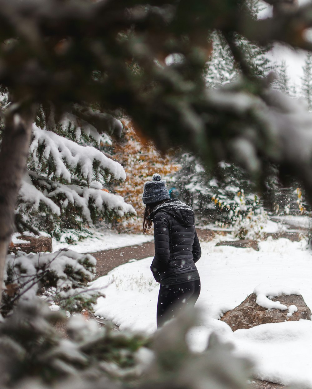 person in beanie hat and hooded jacket near snow-covered trees