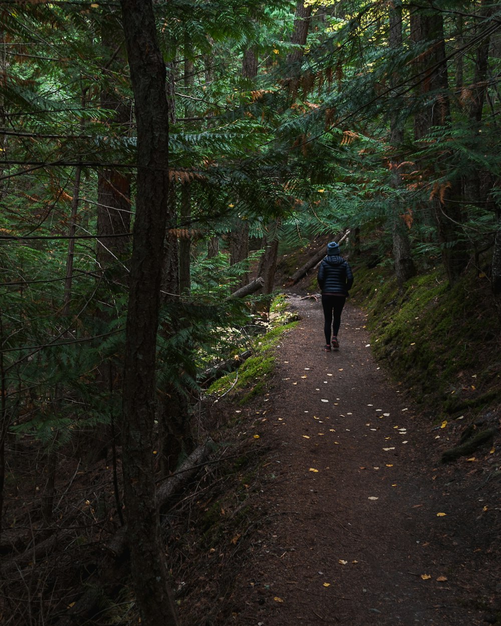 Persona in giacca nera che cammina all'interno della foresta
