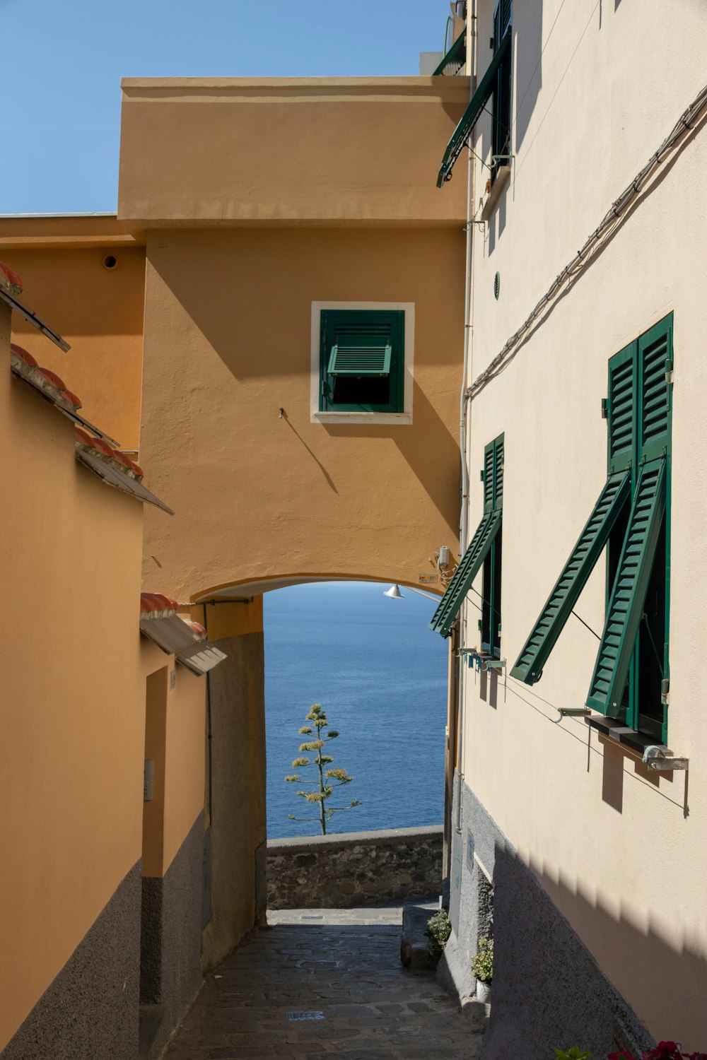 green louvered window