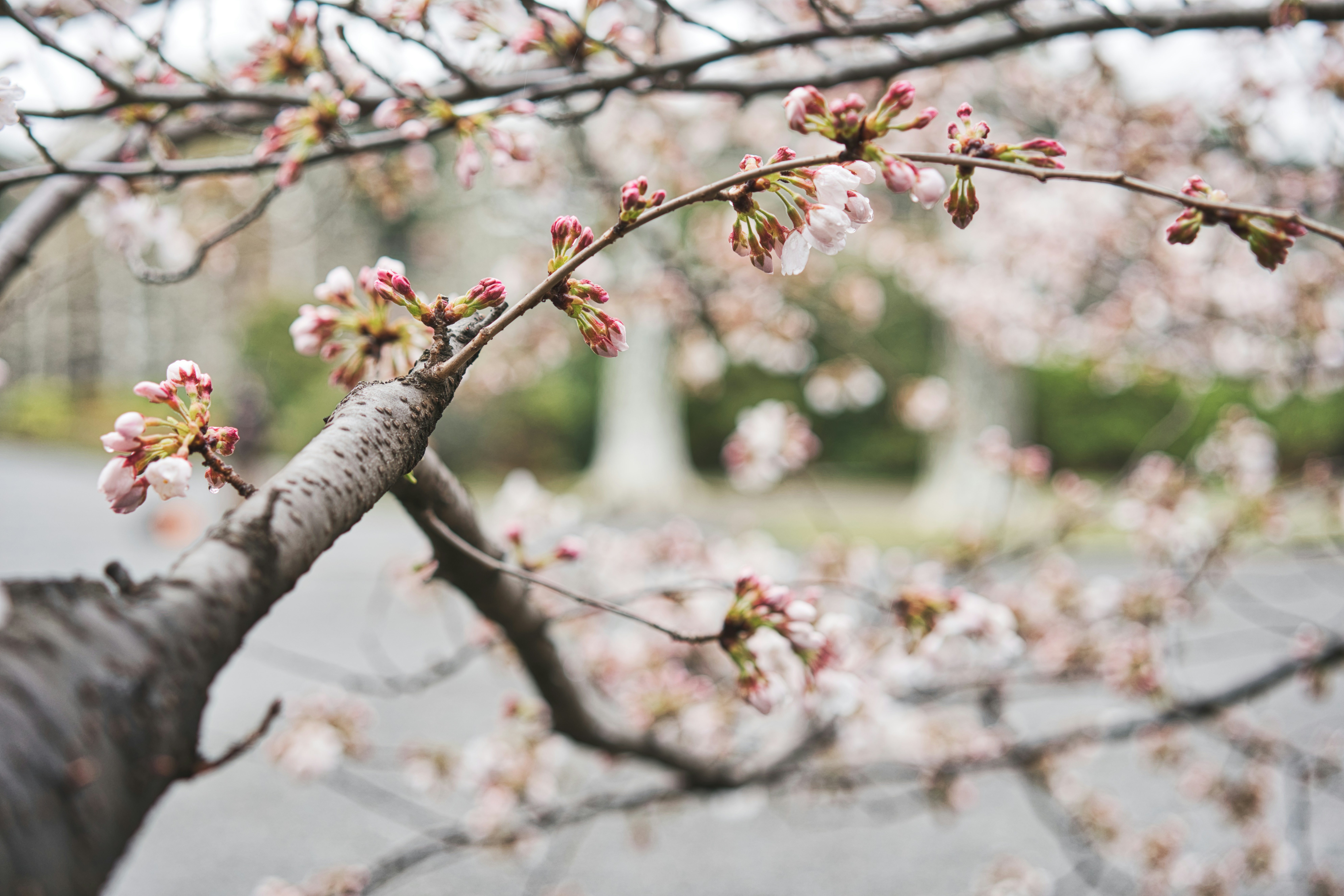 Photo by tuannguyen728