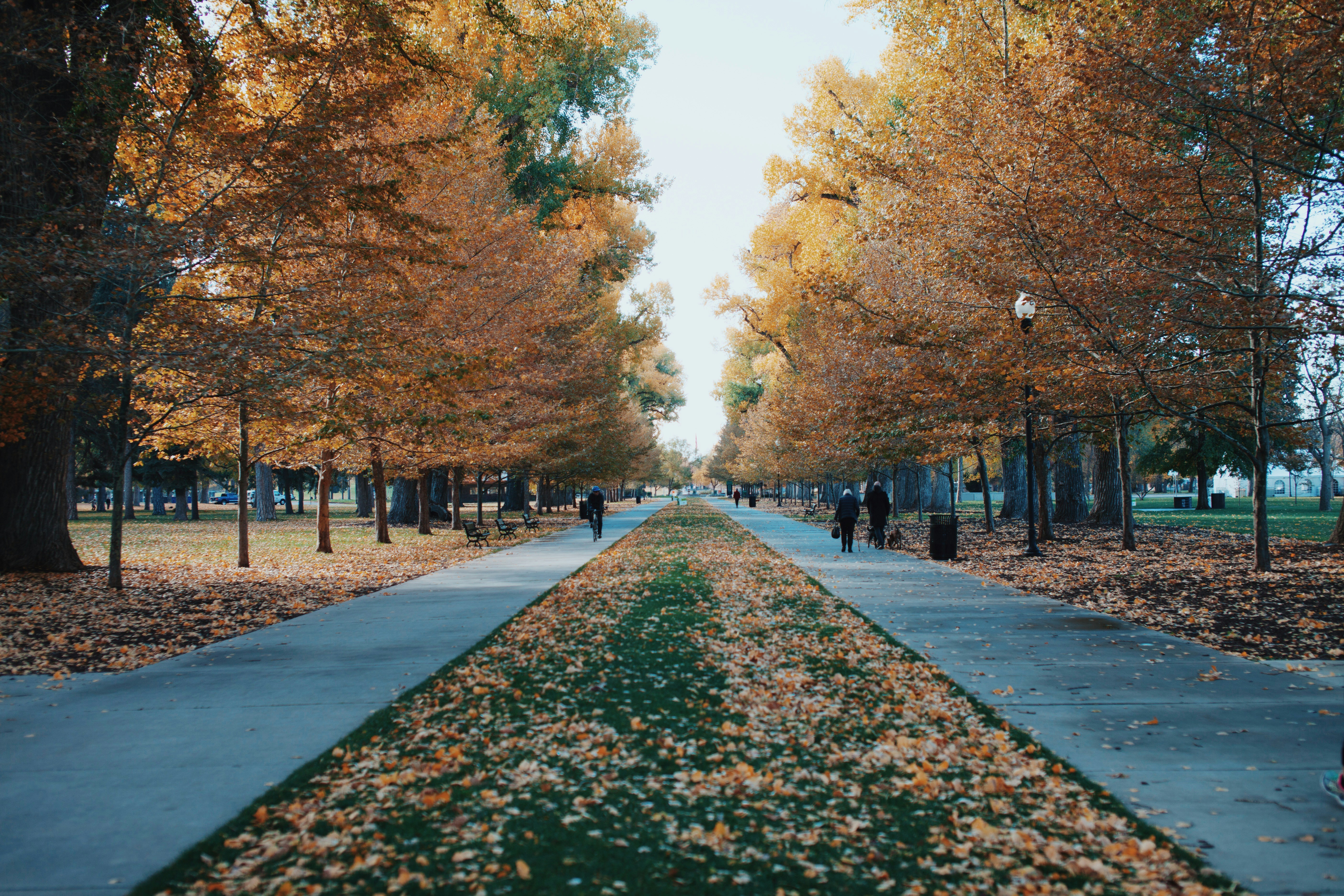 Photo by jennymariefarnan