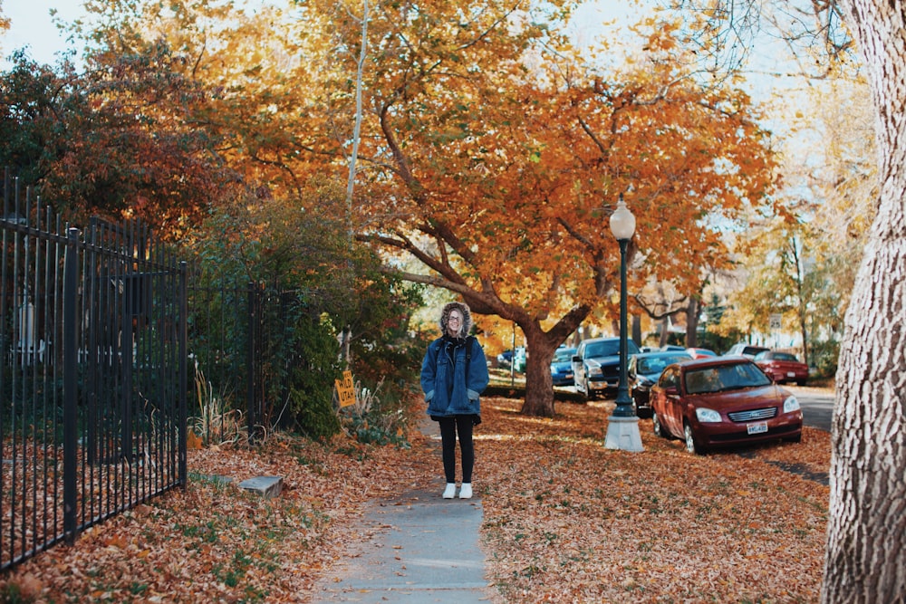 person walking near fence