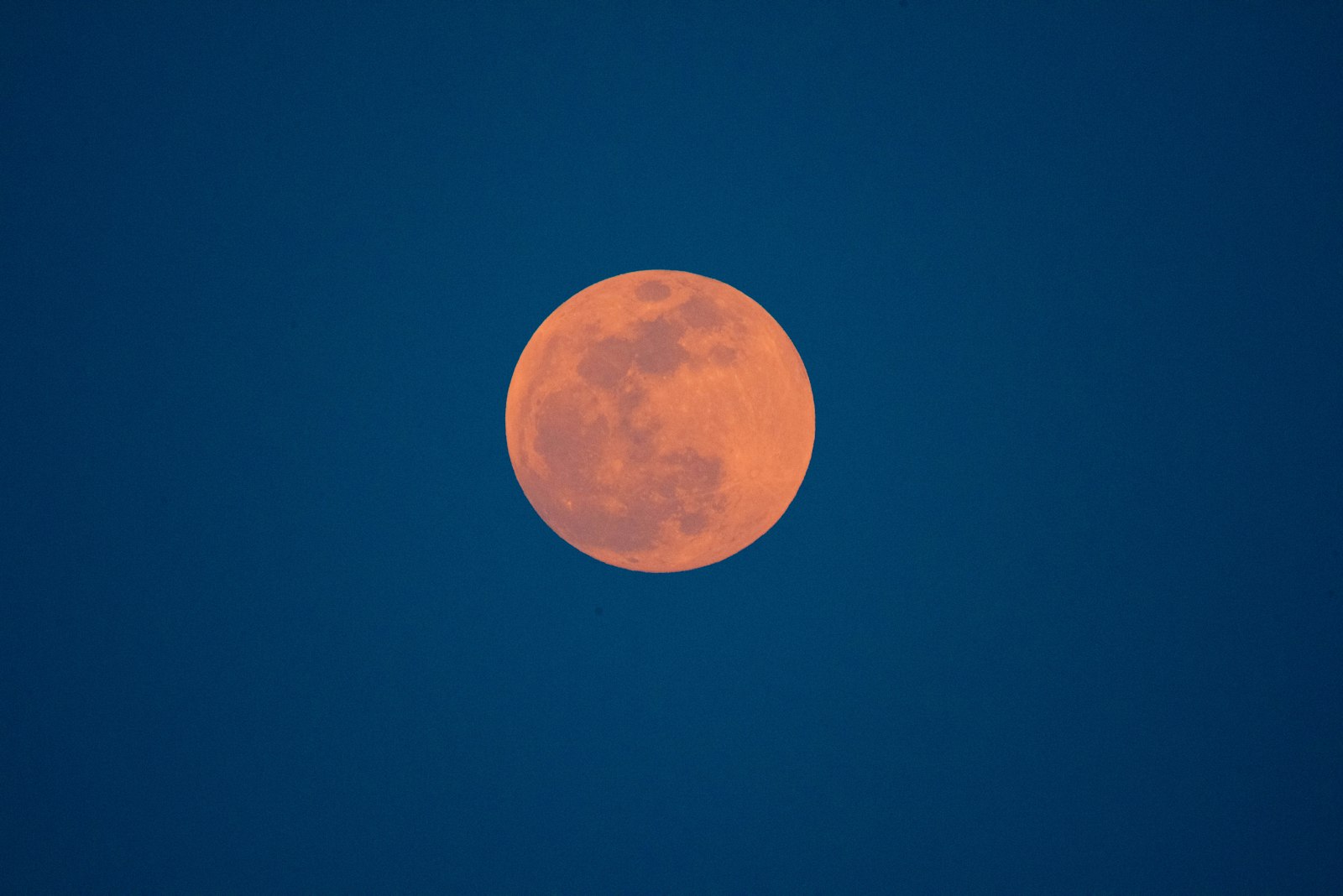 Nikon D810 + Nikon AF-S Nikkor 200-500mm F5.6E ED VR sample photo. Full moon photography