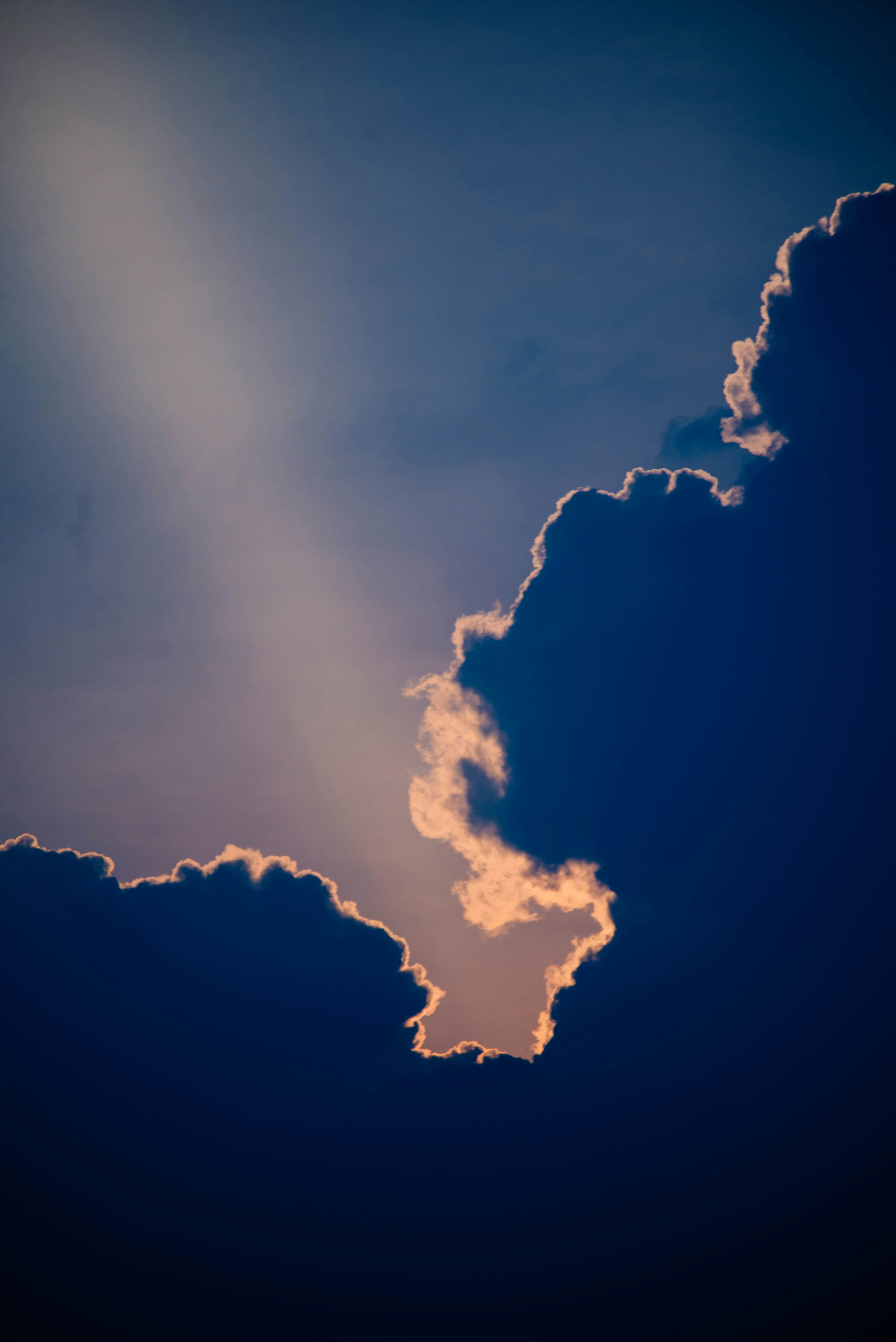 Photo by chuttersnap