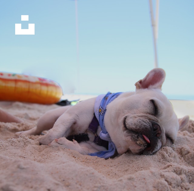 UnsplashのTerrance Raperが撮影した写真