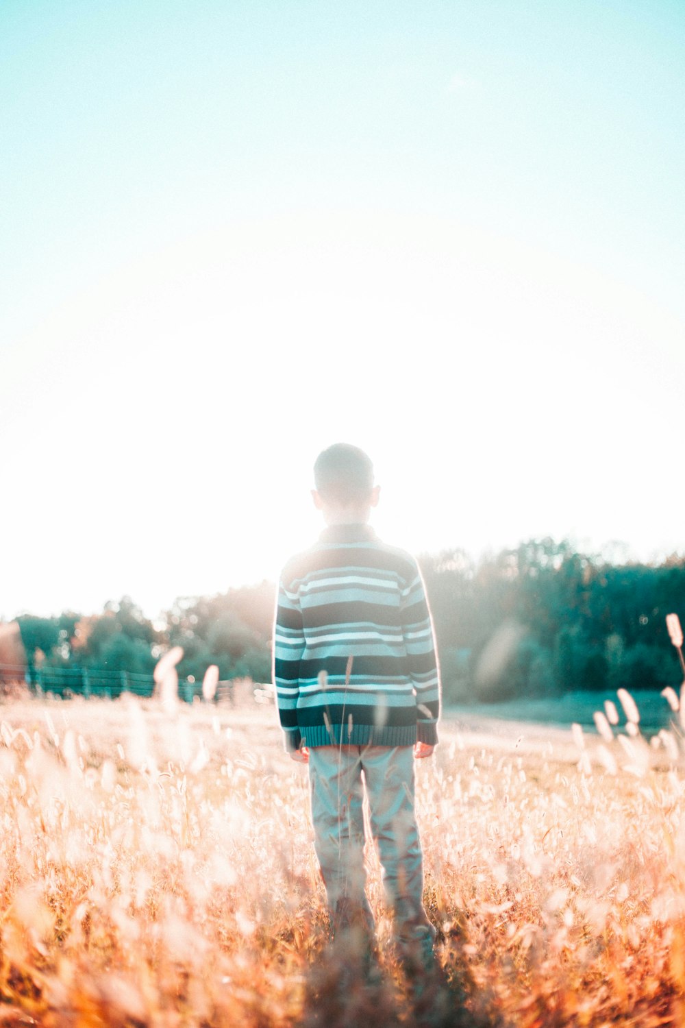 boy in striped shirt standing on grassy field