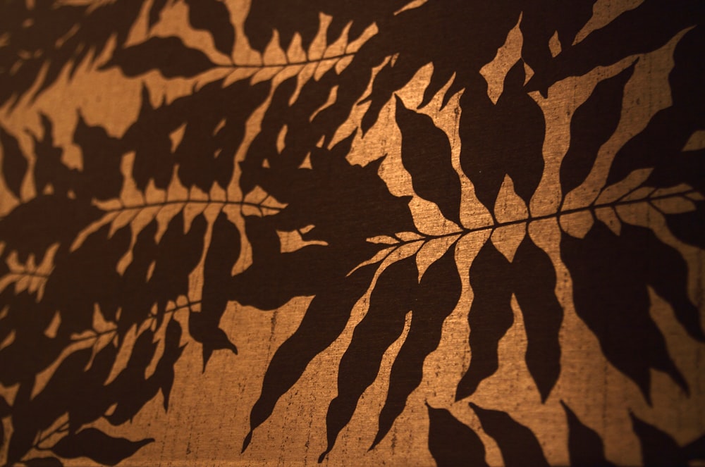 a shadow of a leaf on a wall