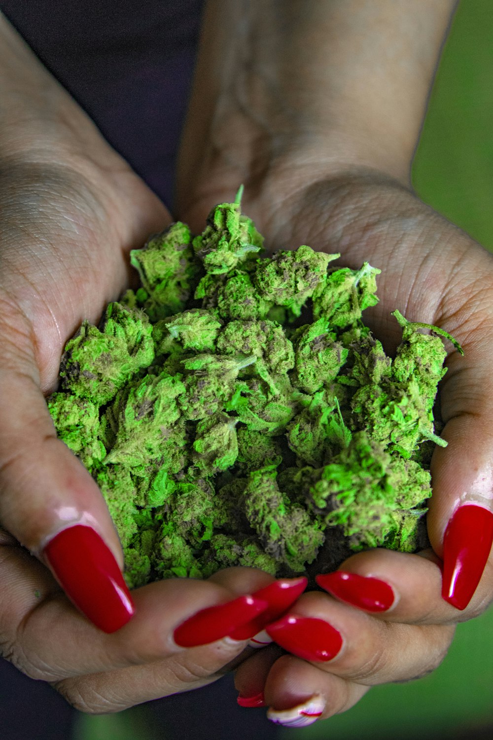 green kush on human hands