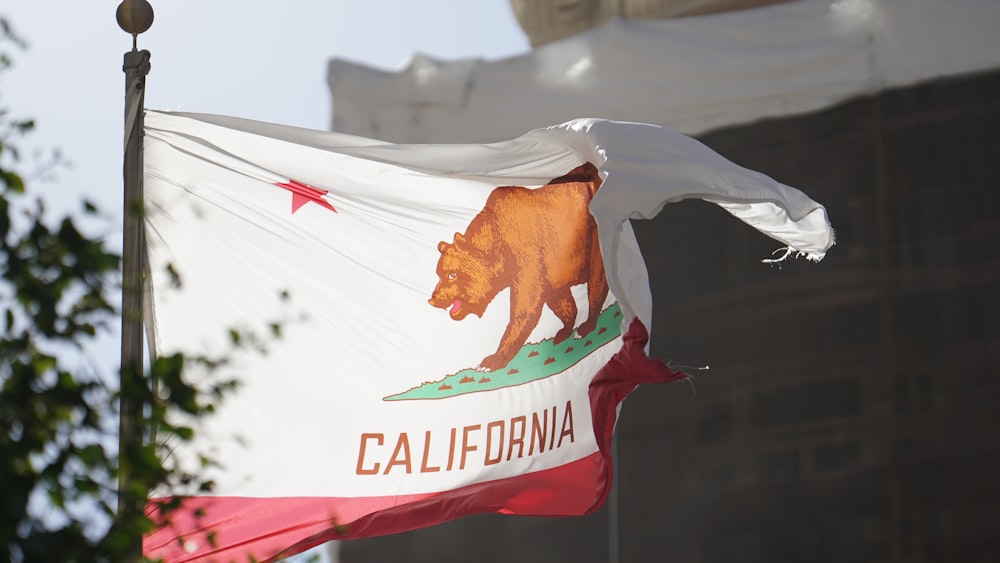 California flag