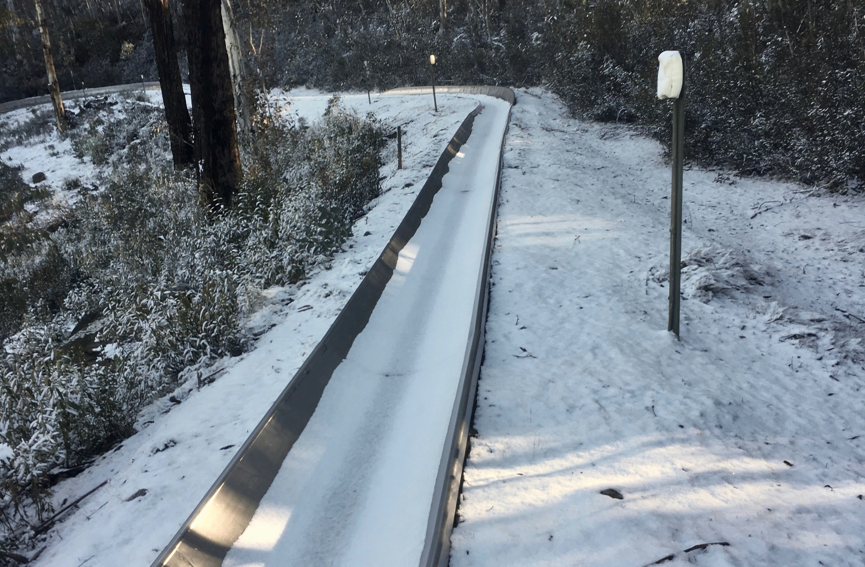 Free Corin Forest Mountain Resort Image On Unsplash