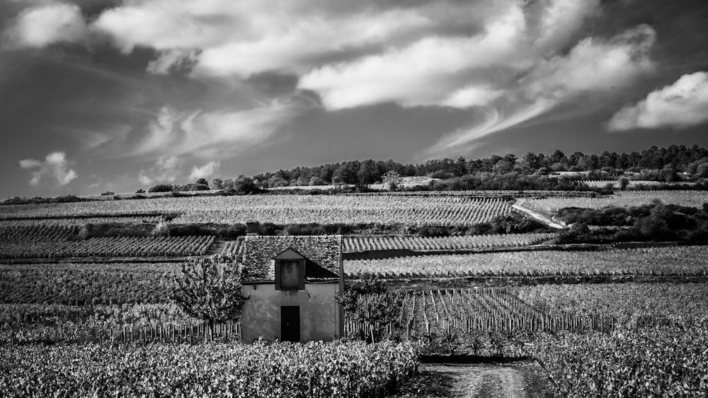 fotografia in scala di grigi di casa e campo