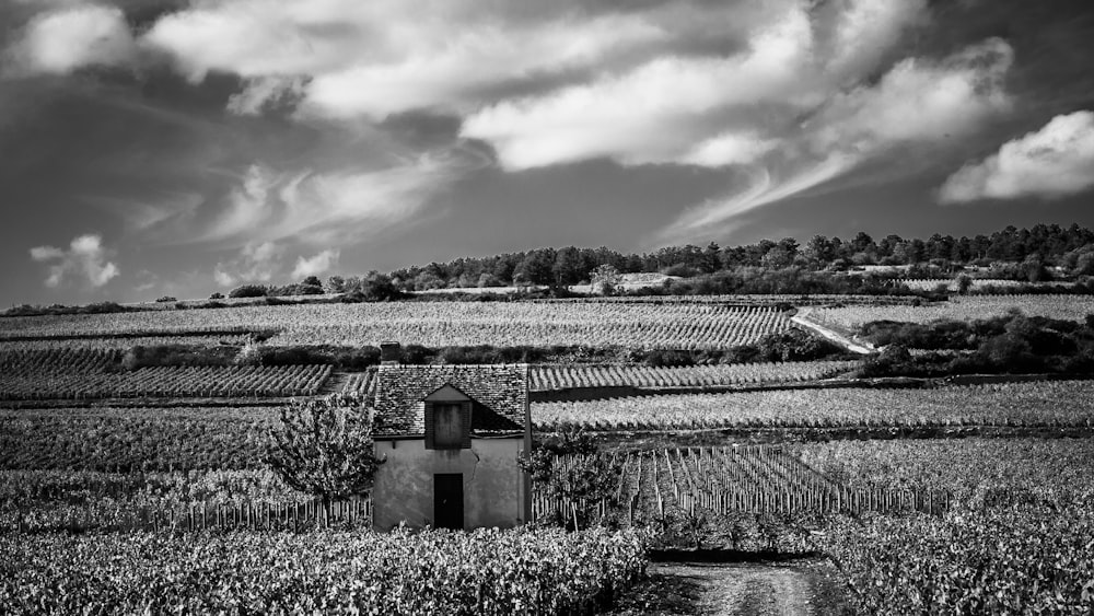 greyscale photography of house and field