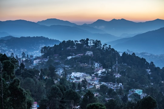 aerial view of trees on hill in Almora India