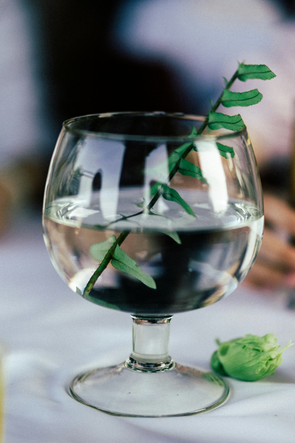 green herb in short-stem glass