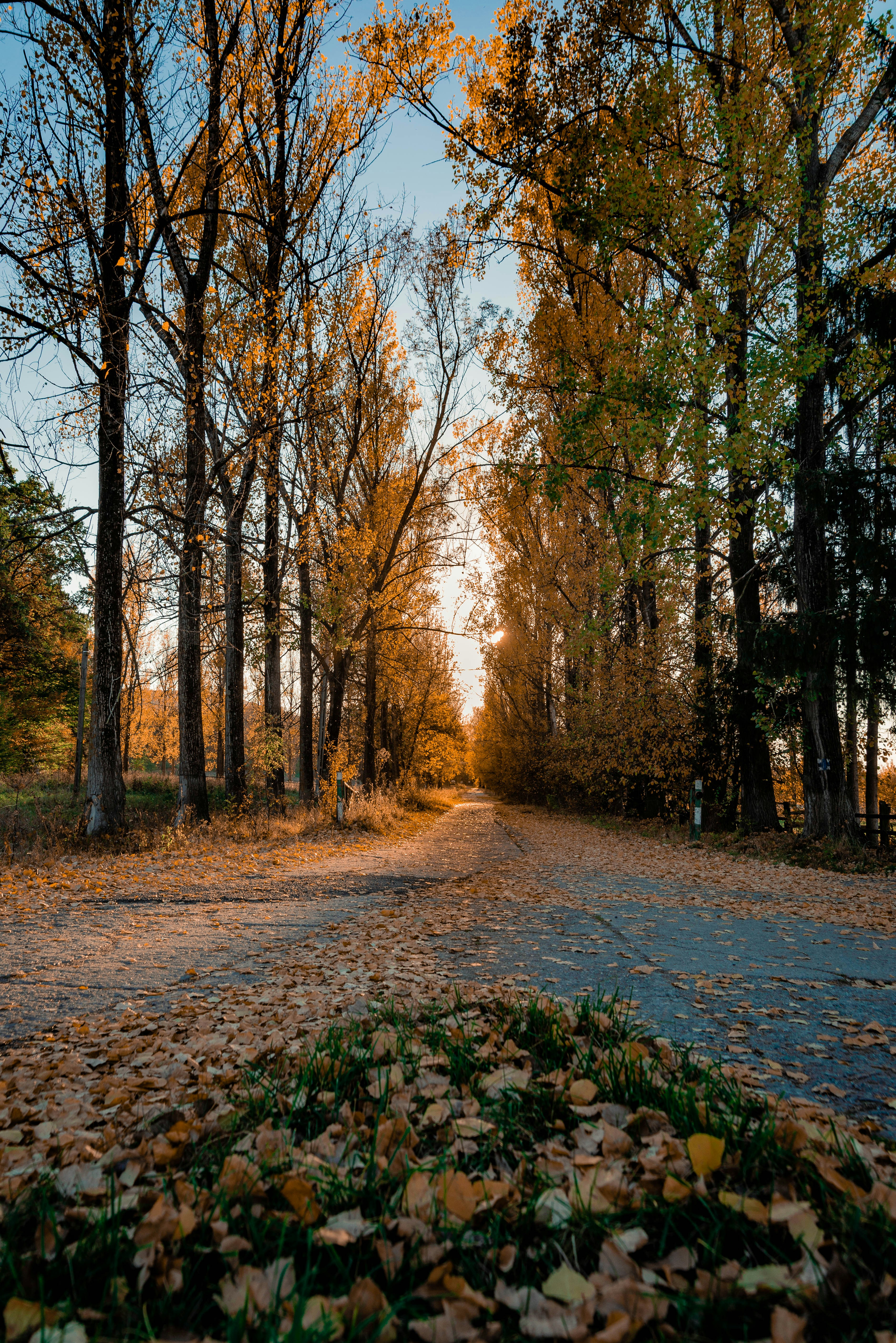 Photo by catalinsandru