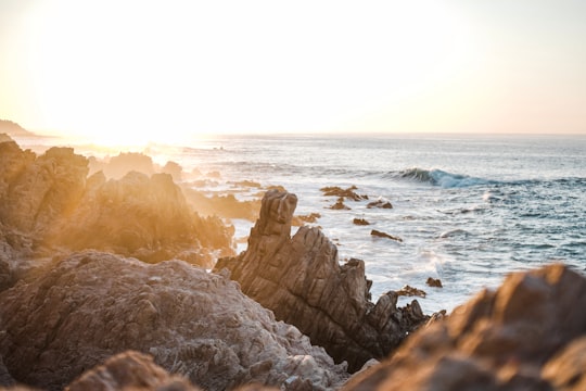 brown rock fragments near body of water in Cabo San Lucas Mexico