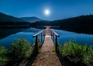brown wooden dock near lake surrounded with tall trees