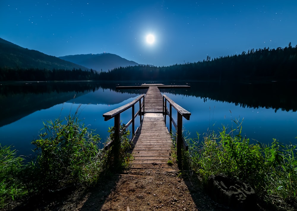 brown wooden dock near lake surrounded with tall trees