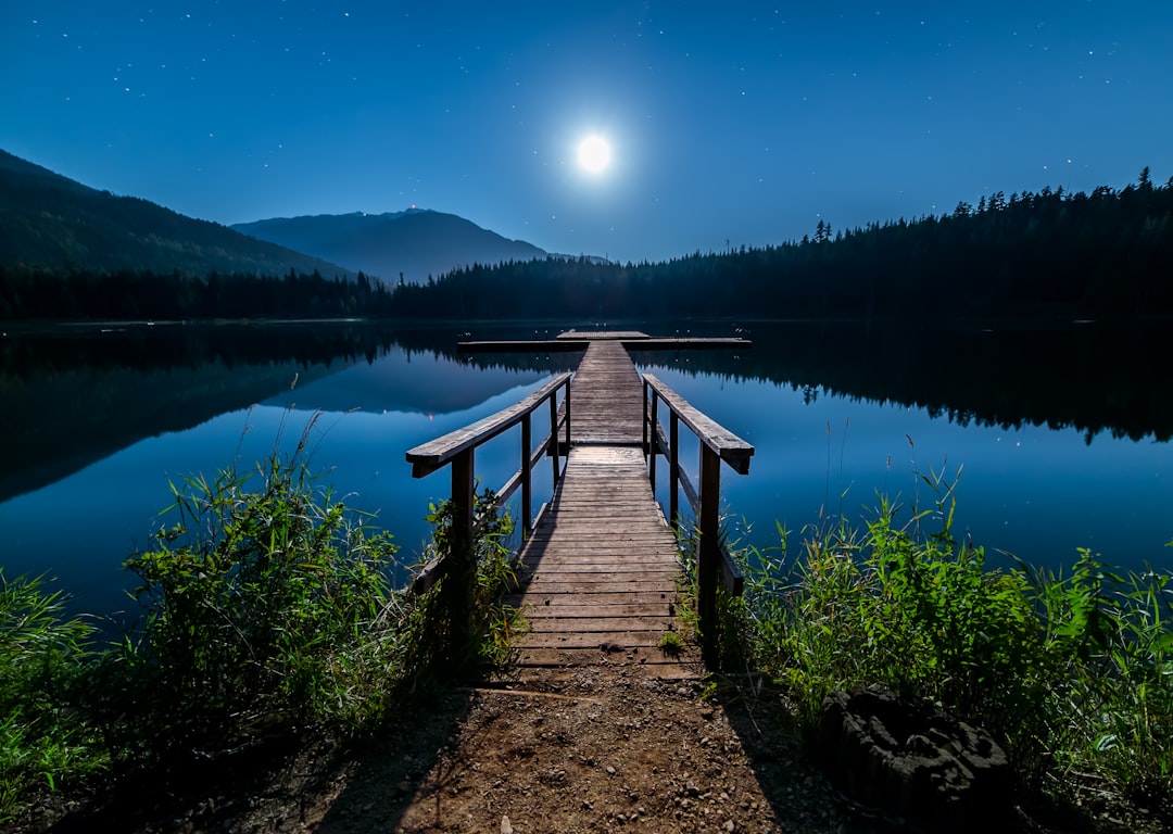 brown wooden dock near lake surrounded with tall trees, I spent an hour photographing this dock during by the light of t