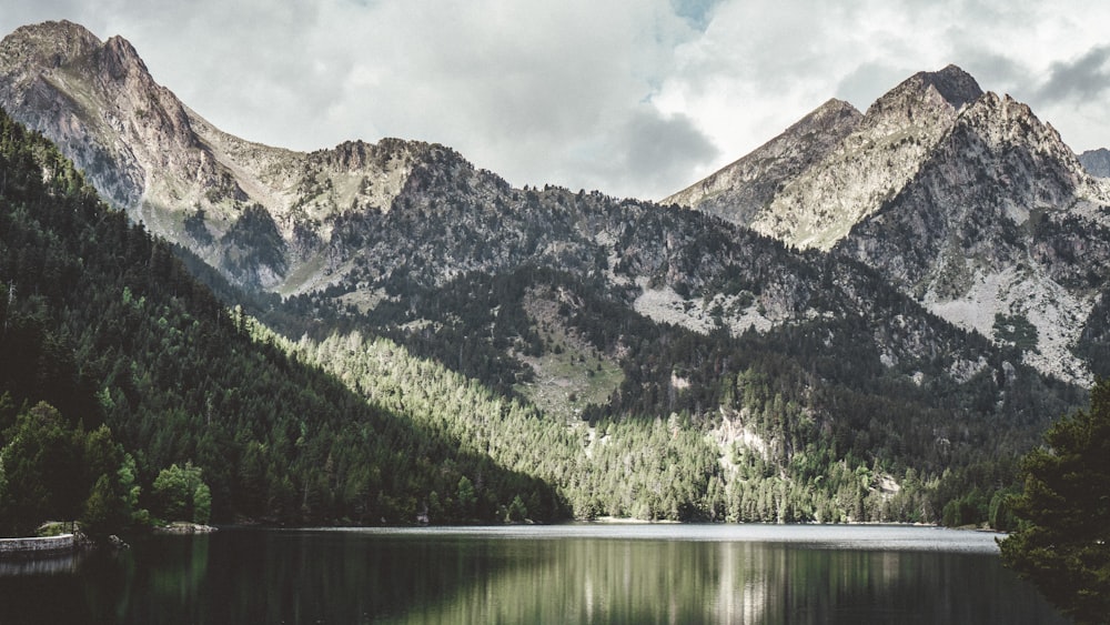 pine tree covered mountain near lake during daytime