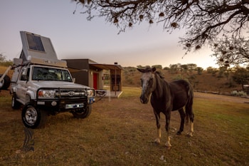 A horse stands on a grassy area next to a white off-road vehicle equipped with solar panels on its roof. Behind them is a small cabin structure with outdoor furniture, set in a savannah-like terrain with scattered trees under a dusky sky.