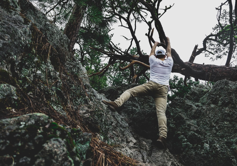 man climbing on rock while holding tree