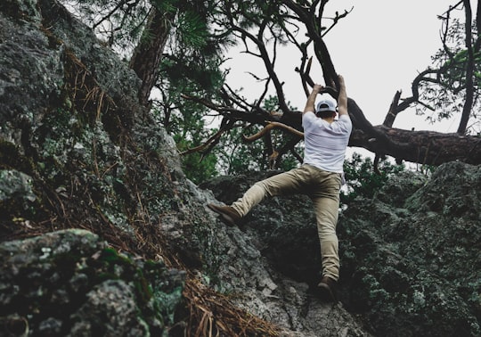 man climbing on rock while holding tree in Kelowna Canada