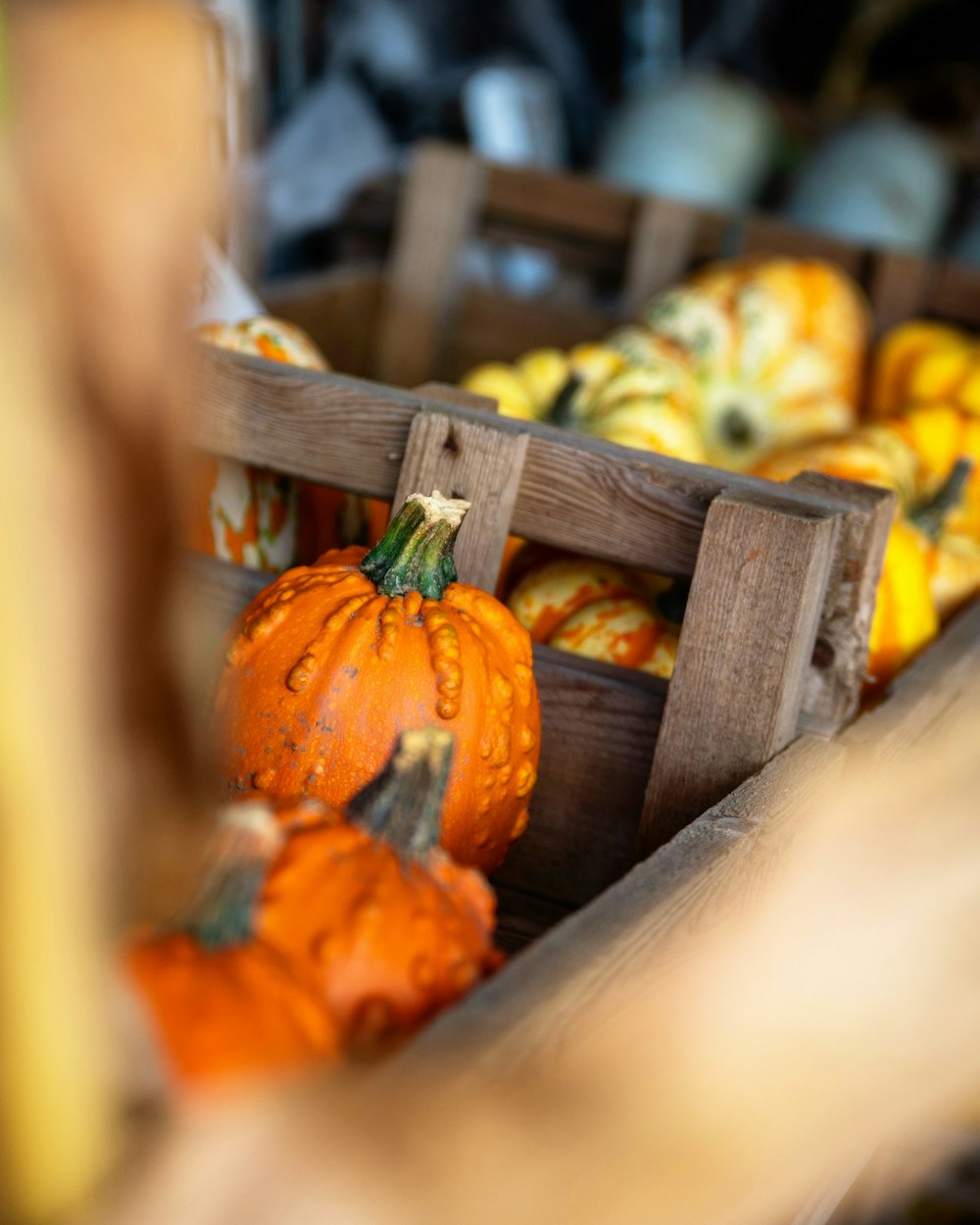 pumpkins on cart